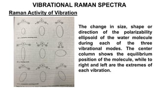 VIBRATIONAL RAMAN SPECTRA
Raman Activity of Vibration
The change in size, shape or
direction of the polarizability
ellipsoid of the water molecule
during each of the three
vibrational modes. The center
column shows the equilibrium
position of the molecule, while to
right and left are the extremes of
each vibration.
 
