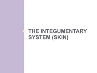 Chapter 4 - Skin and Body Membranes | PPTX