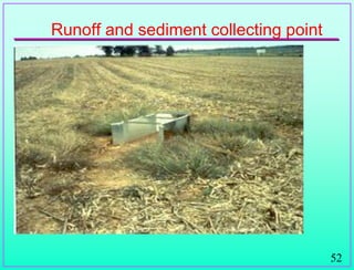 52
Runoff and sediment collecting point
 