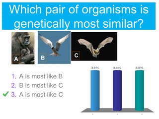 Systematically Similar Chapter4-Systematics.ppt