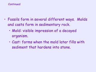 Chapter 4 Views of Earth's Past | PPT