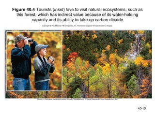 Figure 40.4 Tourists (inset) love to visit natural ecosystems, such as
  this forest, which has indirect value because of its water-holding
           capacity and its ability to take up carbon dioxide




                                                                   40-10
 
