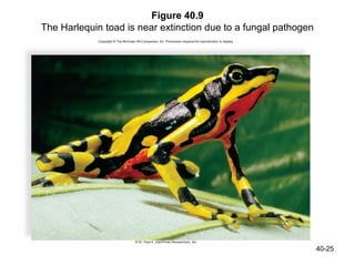 Figure 40.9
The Harlequin toad is near extinction due to a fungal pathogen




                                                                 40-25
 