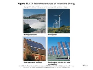 Figure 40.13A Traditional sources of renewable energy
           Copyright © The McGraw-Hill Companies, Inc. Permission required for reproduction or display.




          Hydropower dams                                      Wind power




          Solar panels on roof-top                             Sun-tracking mirrors of a solar
                                                               energy plant
(dam): © David L. Pearson/Visuals Unlimited;(wind power): © S.K. Patrick/Visuals Unlimited; (solar panels, roof): © Argus   40-33
          Foto Archiv/Peter Arnold/Photolibrary; (solar energyplant): © Gerald and Buff Corsi/Visuals Unlimited
 
