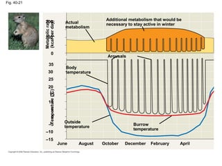 Fig. 40-21
Additional metabolism that would be
necessary to stay active in winterActual
metabolism
Arousals
Body
temperature
Outside
temperature
Burrow
temperature
Metabolicrate
(kcalperday)Temperature(°C)
June August October December February April
–15
–10
–5
0
5
15
10
25
20
35
30
0
100
200
 