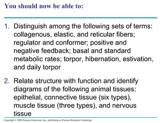 You should now be able to:
1. Distinguish among the following sets of terms:
collagenous, elastic, and reticular fibers;
regulator and conformer; positive and
negative feedback; basal and standard
metabolic rates; torpor, hibernation, estivation,
and daily torpor
2. Relate structure with function and identify
diagrams of the following animal tissues:
epithelial, connective tissue (six types),
muscle tissue (three types), and nervous
tissue
Copyright © 2008 Pearson Education, Inc., publishing as Pearson Benjamin Cummings
 