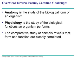 Overview: Diverse Forms, Common Challenges
• Anatomy is the study of the biological form of
an organism
• Physiology is the study of the biological
functions an organism performs
• The comparative study of animals reveals that
form and function are closely correlated
Copyright © 2008 Pearson Education, Inc., publishing as Pearson Benjamin Cummings
 