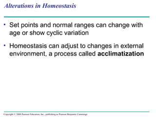 Alterations in Homeostasis
• Set points and normal ranges can change with
age or show cyclic variation
• Homeostasis can adjust to changes in external
environment, a process called acclimatization
Copyright © 2008 Pearson Education, Inc., publishing as Pearson Benjamin Cummings
 
