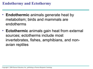 • Endothermic animals generate heat by
metabolism; birds and mammals are
endotherms
• Ectothermic animals gain heat from external
sources; ectotherms include most
invertebrates, fishes, amphibians, and non-
avian reptiles
Endothermy and Ectothermy
Copyright © 2008 Pearson Education, Inc., publishing as Pearson Benjamin Cummings
 