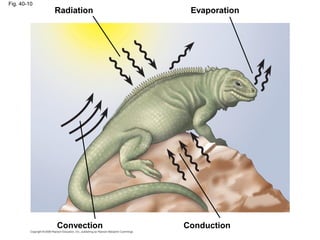 Fig. 40-10
Radiation Evaporation
Convection Conduction
 