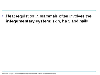 • Heat regulation in mammals often involves the
integumentary system: skin, hair, and nails
Copyright © 2008 Pearson Education, Inc., publishing as Pearson Benjamin Cummings
 