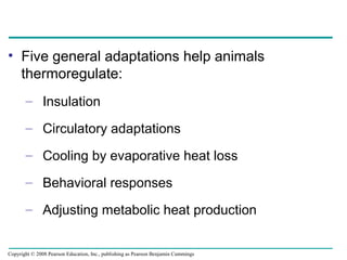 • Five general adaptations help animals
thermoregulate:
– Insulation
– Circulatory adaptations
– Cooling by evaporative heat loss
– Behavioral responses
– Adjusting metabolic heat production
Copyright © 2008 Pearson Education, Inc., publishing as Pearson Benjamin Cummings
 
