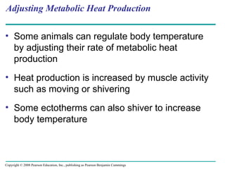 Adjusting Metabolic Heat Production
• Some animals can regulate body temperature
by adjusting their rate of metabolic heat
production
• Heat production is increased by muscle activity
such as moving or shivering
• Some ectotherms can also shiver to increase
body temperature
Copyright © 2008 Pearson Education, Inc., publishing as Pearson Benjamin Cummings
 
