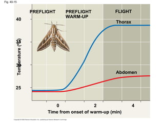 Fig. 40-15
PREFLIGHT PREFLIGHT
WARM-UP
FLIGHT
Thorax
Abdomen
Time from onset of warm-up (min)
Temperature(ºC)
0 2 4
25
30
35
40
 