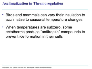 • Birds and mammals can vary their insulation to
acclimatize to seasonal temperature changes
• When temperatures are subzero, some
ectotherms produce “antifreeze” compounds to
prevent ice formation in their cells
Acclimatization in Thermoregulation
Copyright © 2008 Pearson Education, Inc., publishing as Pearson Benjamin Cummings
 