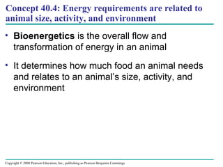 Concept 40.4: Energy requirements are related to
animal size, activity, and environment
• Bioenergetics is the overall flow and
transformation of energy in an animal
• It determines how much food an animal needs
and relates to an animal’s size, activity, and
environment
Copyright © 2008 Pearson Education, Inc., publishing as Pearson Benjamin Cummings
 