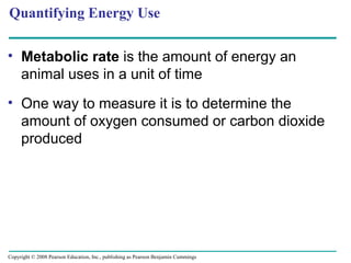 • Metabolic rate is the amount of energy an
animal uses in a unit of time
• One way to measure it is to determine the
amount of oxygen consumed or carbon dioxide
produced
Quantifying Energy Use
Copyright © 2008 Pearson Education, Inc., publishing as Pearson Benjamin Cummings
 