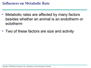 • Metabolic rates are affected by many factors
besides whether an animal is an endotherm or
ectotherm
• Two of these factors are size and activity
Influences on Metabolic Rate
Copyright © 2008 Pearson Education, Inc., publishing as Pearson Benjamin Cummings
 