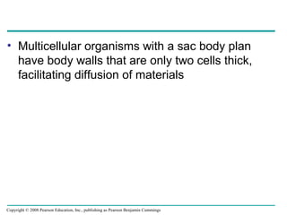 • Multicellular organisms with a sac body plan
have body walls that are only two cells thick,
facilitating diffusion of materials
Copyright © 2008 Pearson Education, Inc., publishing as Pearson Benjamin Cummings
 