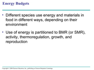 • Different species use energy and materials in
food in different ways, depending on their
environment
• Use of energy is partitioned to BMR (or SMR),
activity, thermoregulation, growth, and
reproduction
Energy Budgets
Copyright © 2008 Pearson Education, Inc., publishing as Pearson Benjamin Cummings
 