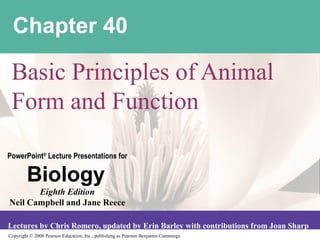Copyright © 2008 Pearson Education, Inc., publishing as Pearson Benjamin Cummings
PowerPoint®
Lecture Presentations for
Biology
Eighth Edition
Neil Campbell and Jane Reece
Lectures by Chris Romero, updated by Erin Barley with contributions from Joan Sharp
Chapter 40
Basic Principles of Animal
Form and Function
 