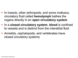  In insects, other arthropods, and some molluscs,
circulatory fluid called hemolymph bathes the
organs directly in an open circulatory system
 In a closed circulatory system, blood is confined
to vessels and is distinct from the interstitial fluid
 Annelids, cephalopods, and vertebrates have
closed circulatory systems
© 2018 Pearson Education Ltd.
 