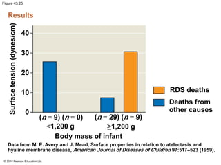 Figure 43.25
Results
Surface
tension
(dynes/cm)
40
30
20
10
0
(n = 9) (n = 0) (n = 29) (n = 9)
<1,200 g ≥1,200 g
Body mass of infant
RDS deaths
Deaths from
other causes
Data from M. E. Avery and J. Mead, Surface properties in relation to atelectasis and
hyaline membrane disease, American Journal of Diseases of Children 97:517–523 (1959).
© 2018 Pearson Education Ltd.
 