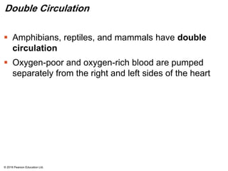 Double Circulation
 Amphibians, reptiles, and mammals have double
circulation
 Oxygen-poor and oxygen-rich blood are pumped
separately from the right and left sides of the heart
© 2018 Pearson Education Ltd.
 