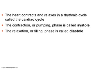 The heart contracts and relaxes in a rhythmic cycle
called the cardiac cycle
 The contraction, or pumping, phase is called systole
 The relaxation, or filling, phase is called diastole
© 2018 Pearson Education Ltd.
 