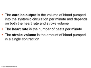  The cardiac output is the volume of blood pumped
into the systemic circulation per minute and depends
on both the heart rate and stroke volume
 The heart rate is the number of beats per minute
 The stroke volume is the amount of blood pumped
in a single contraction
© 2018 Pearson Education Ltd.
 