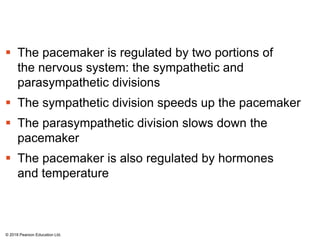  The pacemaker is regulated by two portions of
the nervous system: the sympathetic and
parasympathetic divisions
 The sympathetic division speeds up the pacemaker
 The parasympathetic division slows down the
pacemaker
 The pacemaker is also regulated by hormones
and temperature
© 2018 Pearson Education Ltd.
 