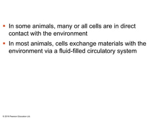  In some animals, many or all cells are in direct
contact with the environment
 In most animals, cells exchange materials with the
environment via a fluid-filled circulatory system
© 2018 Pearson Education Ltd.
 