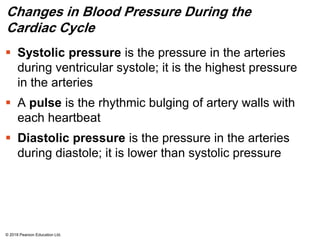 Changes in Blood Pressure During the
Cardiac Cycle
 Systolic pressure is the pressure in the arteries
during ventricular systole; it is the highest pressure
in the arteries
 A pulse is the rhythmic bulging of artery walls with
each heartbeat
 Diastolic pressure is the pressure in the arteries
during diastole; it is lower than systolic pressure
© 2018 Pearson Education Ltd.
 