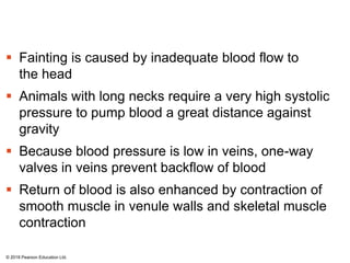  Fainting is caused by inadequate blood flow to
the head
 Animals with long necks require a very high systolic
pressure to pump blood a great distance against
gravity
 Because blood pressure is low in veins, one-way
valves in veins prevent backflow of blood
 Return of blood is also enhanced by contraction of
smooth muscle in venule walls and skeletal muscle
contraction
© 2018 Pearson Education Ltd.
 