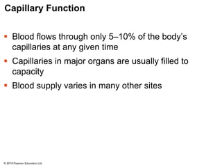 Capillary Function
 Blood flows through only 5–10% of the body’s
capillaries at any given time
 Capillaries in major organs are usually filled to
capacity
 Blood supply varies in many other sites
© 2018 Pearson Education Ltd.
 