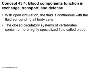 Concept 43.4: Blood components function in
exchange, transport, and defense
 With open circulation, the fluid is continuous with the
fluid surrounding all body cells
 The closed circulatory systems of vertebrates
contain a more highly specialized fluid called blood
© 2018 Pearson Education Ltd.
 