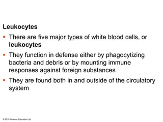 Leukocytes
 There are five major types of white blood cells, or
leukocytes
 They function in defense either by phagocytizing
bacteria and debris or by mounting immune
responses against foreign substances
 They are found both in and outside of the circulatory
system
© 2018 Pearson Education Ltd.
 