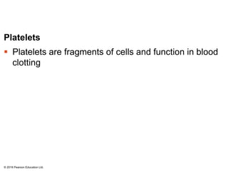 Platelets
 Platelets are fragments of cells and function in blood
clotting
© 2018 Pearson Education Ltd.
 