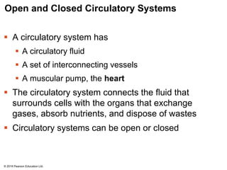 Open and Closed Circulatory Systems
 A circulatory system has
 A circulatory fluid
 A set of interconnecting vessels
 A muscular pump, the heart
 The circulatory system connects the fluid that
surrounds cells with the organs that exchange
gases, absorb nutrients, and dispose of wastes
 Circulatory systems can be open or closed
© 2018 Pearson Education Ltd.
 
