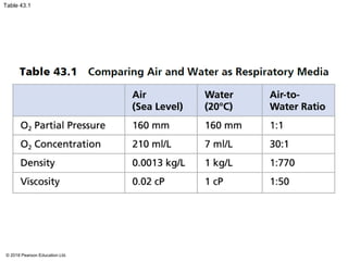 Table 43.1
© 2018 Pearson Education Ltd.
 