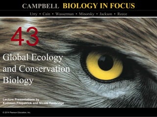 CAMPBELL BIOLOGY IN FOCUS
© 2014 Pearson Education, Inc.
Urry • Cain • Wasserman • Minorsky • Jackson • Reece
Lecture Presentations by
Kathleen Fitzpatrick and Nicole Tunbridge
43
Global Ecology
and Conservation
Biology
 