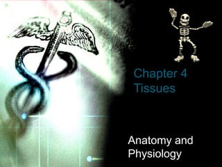 Chapter 4
Tissues
Anatomy and
Physiology
 