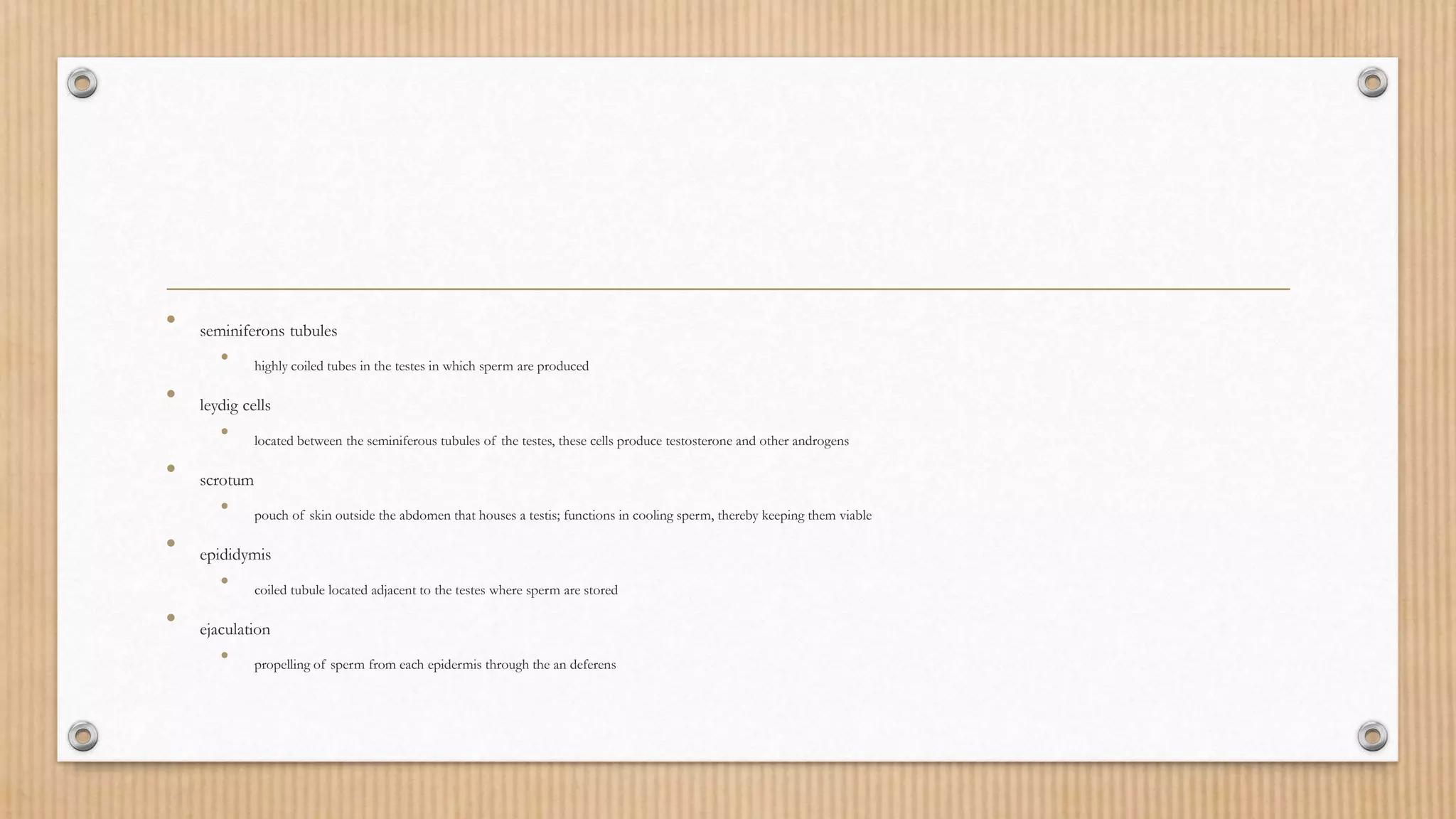 • seminiferons tubules
• highly coiled tubes in the testes in which sperm are produced
• leydig cells
• located between the seminiferous tubules of the testes, these cells produce testosterone and other androgens
• scrotum
• pouch of skin outside the abdomen that houses a testis; functions in cooling sperm, thereby keeping them viable
• epididymis
• coiled tubule located adjacent to the testes where sperm are stored
• ejaculation
• propelling of sperm from each epidermis through the an deferens
 