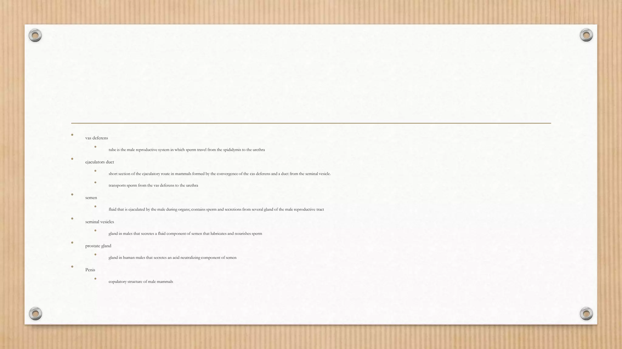 • vas deferens
• tube is the male reproductive system in which sperm travel from the spididymis to the urethra
• ejaculators duct
• short section of the ejaculatory route in mammals formed by the convergence of the cas deferens and a duct from the seminal vesicle.
• transports sperm from the vas deferens to the urethra
• semen
• fluid that is ejaculated by the male during organs; contains sperm and secretions from several gland of the male reproductive tract
• seminal vesicles
• gland in males that secretes a fluid component of semen that lubricates and nourishes sperm
• prostate gland
• gland in human males that secretes an acid neutralizing component of semen
• Penis
• copulatory structure of male mammals
 