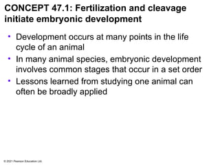 Science Animals Development Chapter 47 Development In Animals modified (2) (1).pptx