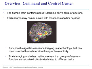 Copyright © 2005 Pearson Education, Inc. publishing as Benjamin Cummings
Overview: Command and Control Center
• The human brain contains about 100 billion nerve cells, or neurons
• Each neuron may communicate with thousands of other neurons
• Functional magnetic resonance imaging is a technology that can
reconstruct a three-dimensional map of brain activity
• Brain imaging and other methods reveal that groups of neurons
function in specialized circuits dedicated to different tasks
 