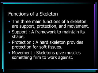 Chapter+49+ Sensory+And+ Motor+ Mechanism | PPT | Eye and Vision ...