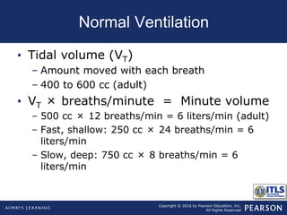 Copyright © 2016 by Pearson Education, Inc.
All Rights Reserved
Normal Ventilation
• Tidal volume (VT)
– Amount moved with each breath
– 400 to 600 cc (adult)
• VT × breaths/minute = Minute volume
– 500 cc × 12 breaths/min = 6 liters/min (adult)
– Fast, shallow: 250 cc × 24 breaths/min = 6
liters/min
– Slow, deep: 750 cc × 8 breaths/min = 6
liters/min
 