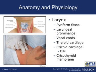 Copyright © 2016 by Pearson Education, Inc.
All Rights Reserved
Anatomy and Physiology
• Larynx
– Pyriform fossa
– Laryngeal
prominence
– Vocal cords
– Thyroid cartilage
– Cricoid cartilage
 ELM
– Cricothyroid
membrane
©Pearson
 