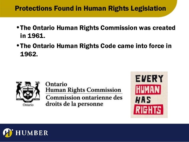 Chapter 4 and_5_charter_and_human_rights_code_week_4